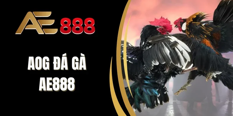 Khuyến mãi hấp dẫn tại AOG đá gà AE888