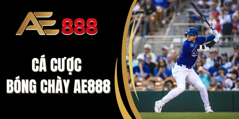 Cá cược bóng chày AE888 có sức hút mãnh liệt