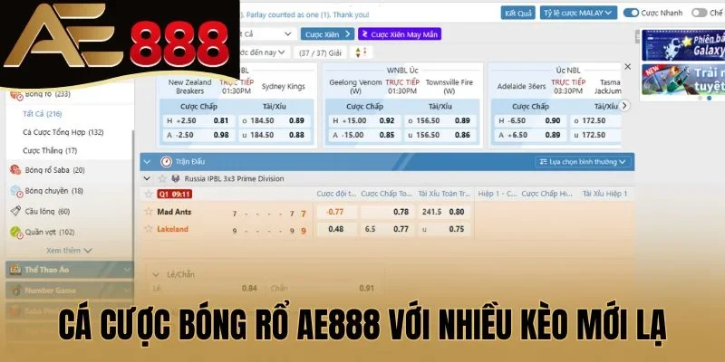 Cá cược bóng rổ AE888 với nhiều kèo mới lạ