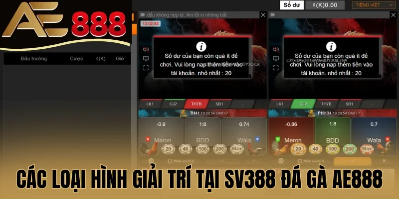 Các loại hình giải trí tại SV388 đá gà AE888