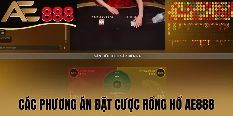 Các phương án đặt cược Rồng Hổ AE888
