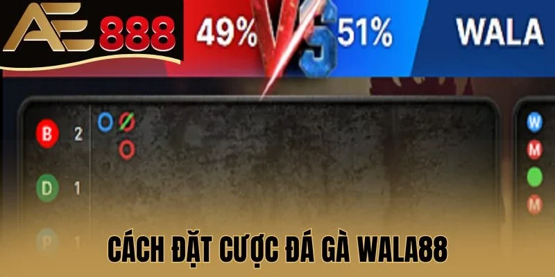 Cách đặt cược đá gà Wala88