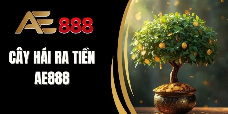 Tính năng hỗ trợ tạo tiền đề chiến thắng