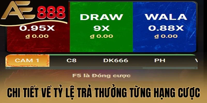 Chi tiết về tỷ lệ trả thưởng từng hạng cược