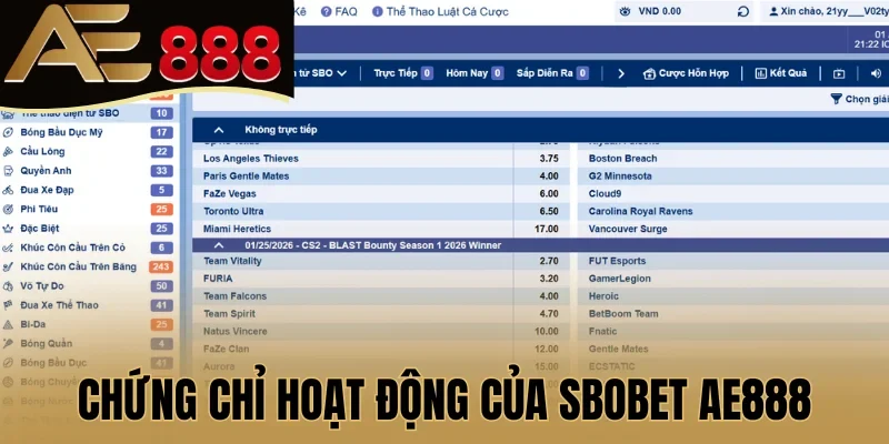 Chứng chỉ hoạt động của SBOBET AE888