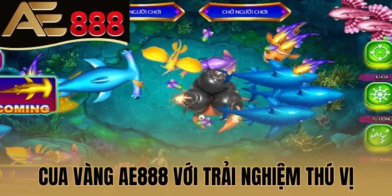 Cua Vàng AE888 với trải nghiệm thú vị