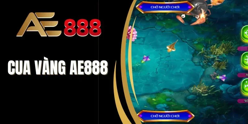 cua vàng ae888