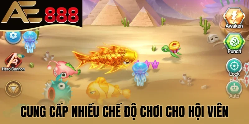 Cung cấp nhiều chế độ chơi cho hội viên