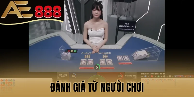 Đánh giá từ người chơi