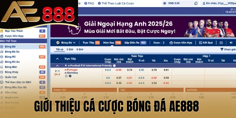 Giới thiệu cá cược bóng đá AE888 