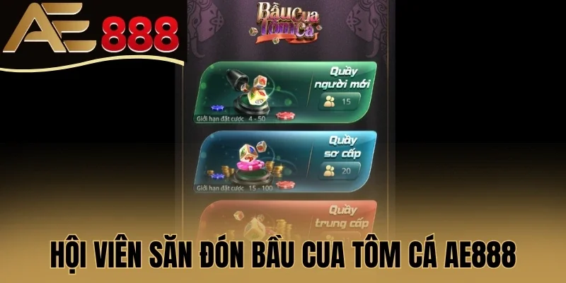 Hội viên săn đón Bầu Cua Tôm Cá AE888