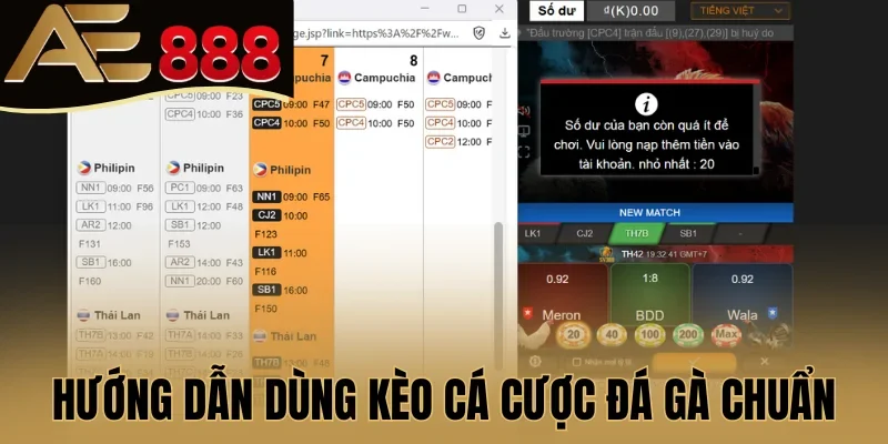Hướng dẫn dùng kèo cá cược đá gà chuẩn
