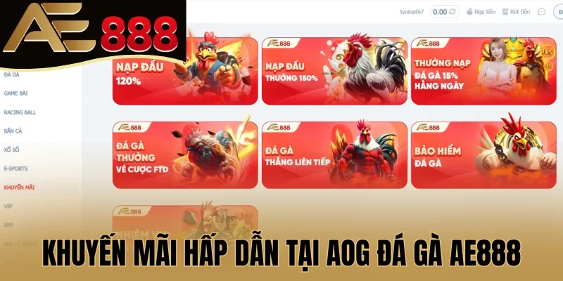 Khuyến mãi hấp dẫn tại AOG đá gà AE888
