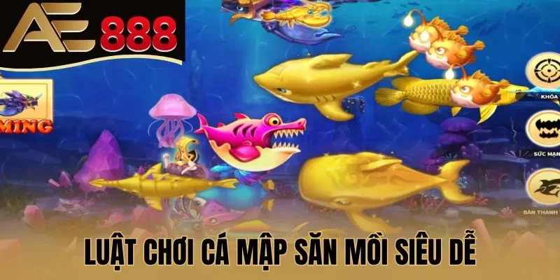 Luật chơi Cá mập săn mồi siêu dễ