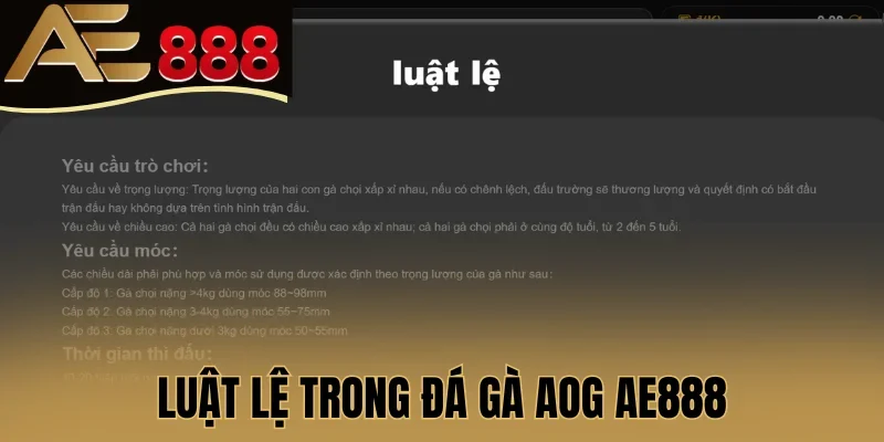 Luật chơi đá gà AOG AE888