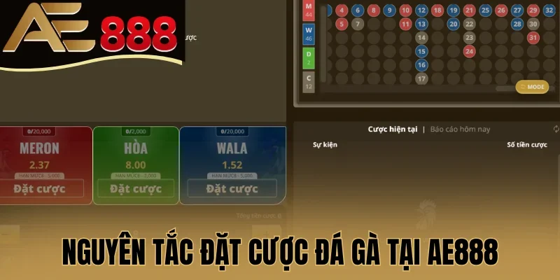 Nguyên tắc đặt cược đá gà tại AE888