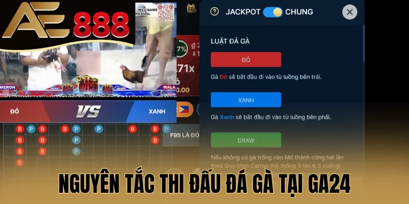 Nguyên tắc thi đấu đá gà tại GA24