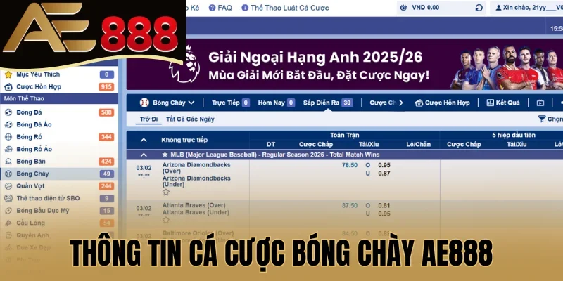 Thông tin cá cược bóng chày AE888 