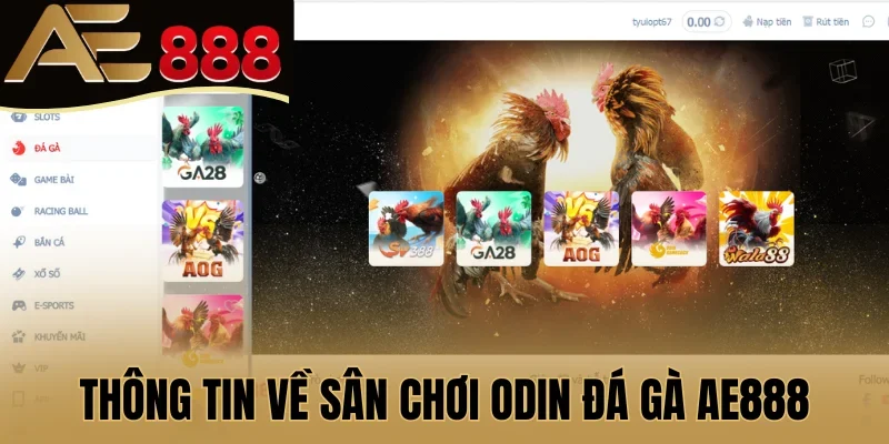 Thông tin về sân chơi ODIN đá gà AE888