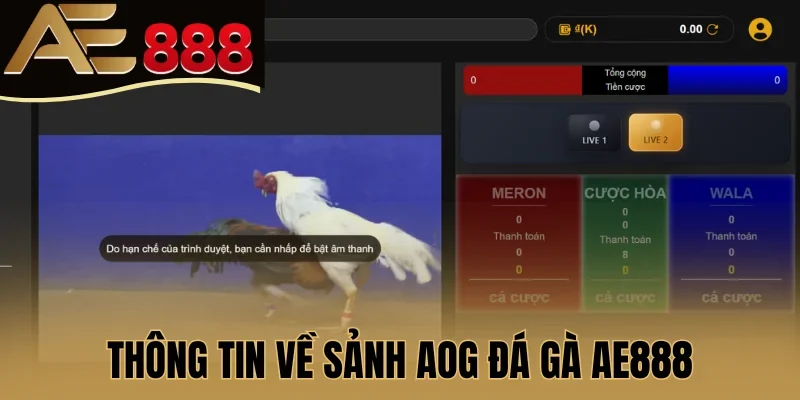 Thông tin về sảnh AOG đá gà AE888