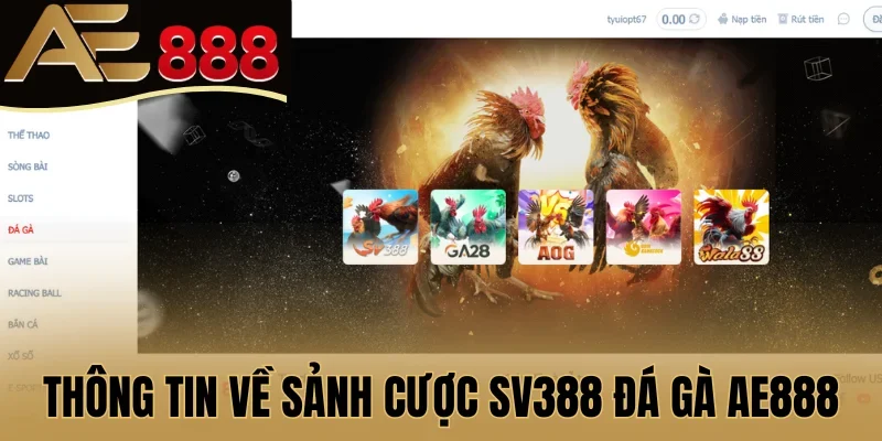 Thông tin về sảnh cược SV388 đá gà AE888