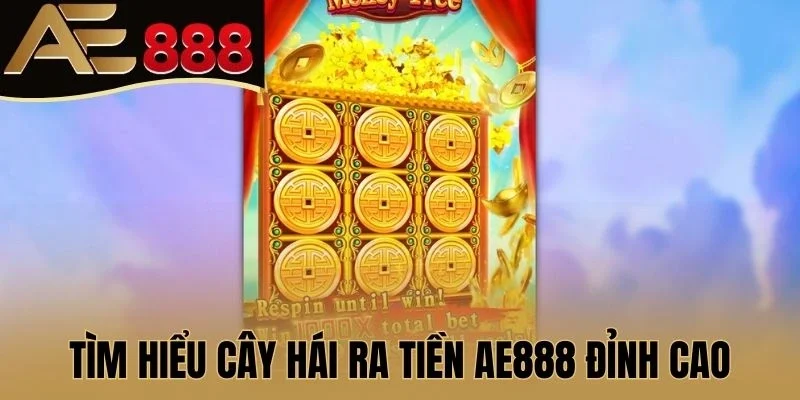 Tìm hiểu Cây Hái Ra Tiền AE888