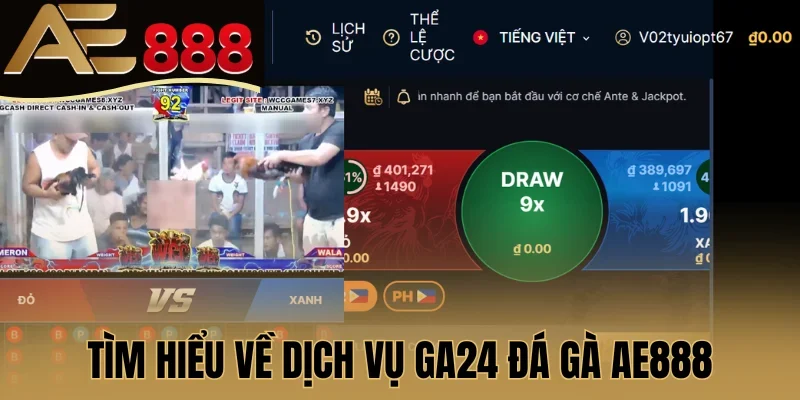 Tìm hiểu về dịch vụ GA24 đá gà AE888