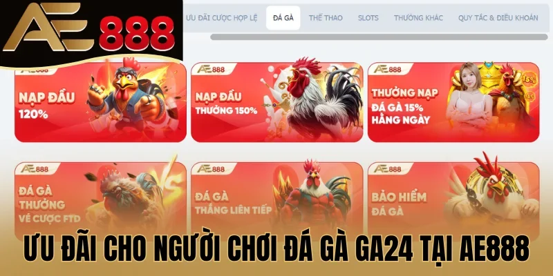 Ưu đãi cho người chơi đá gà GA24 tại nhà cái AE888