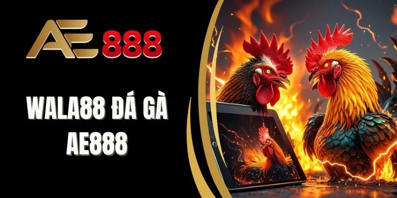 Chi tiết về tỷ lệ trả thưởng từng hạng cược